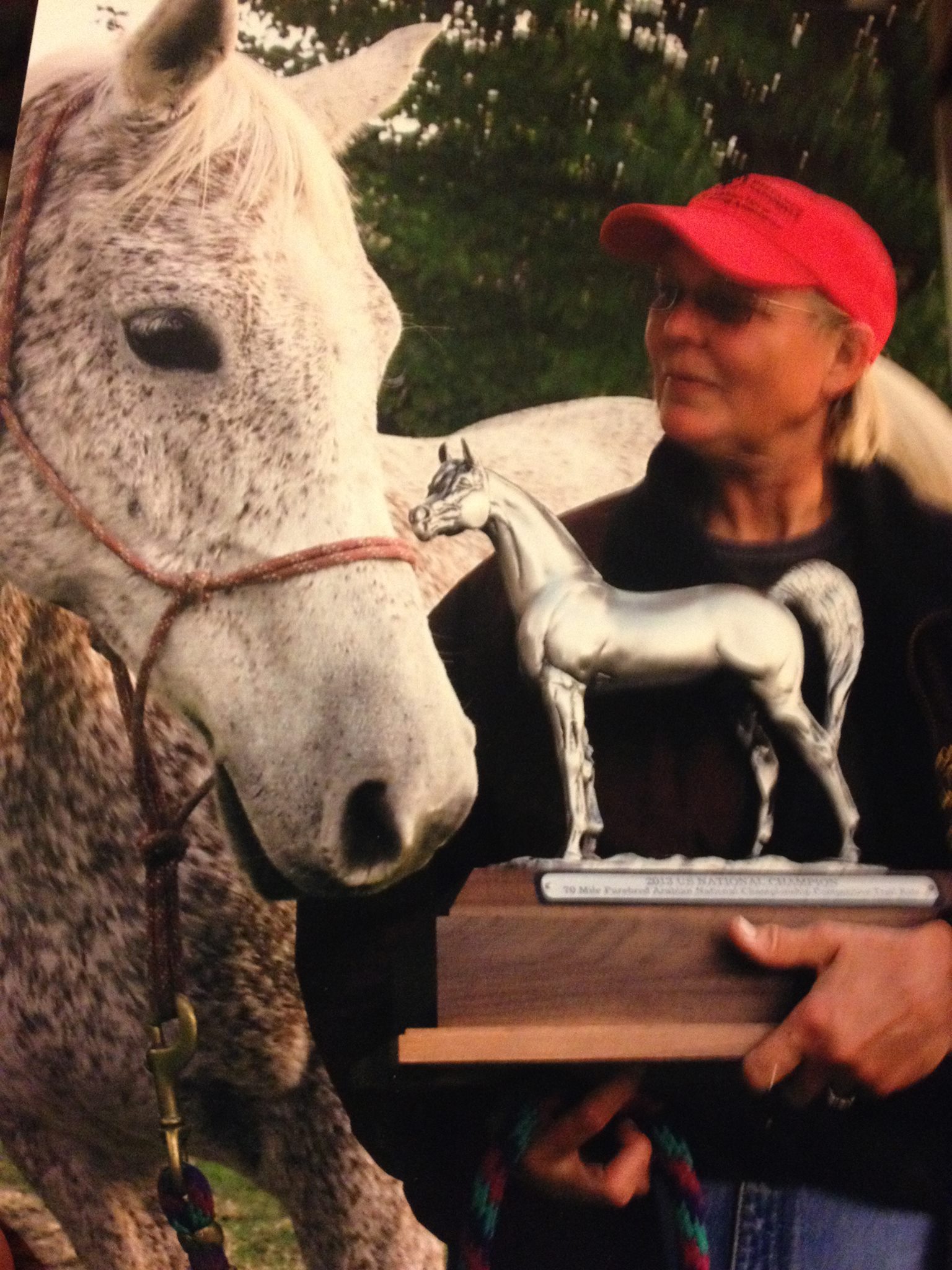Joyce Mocilan